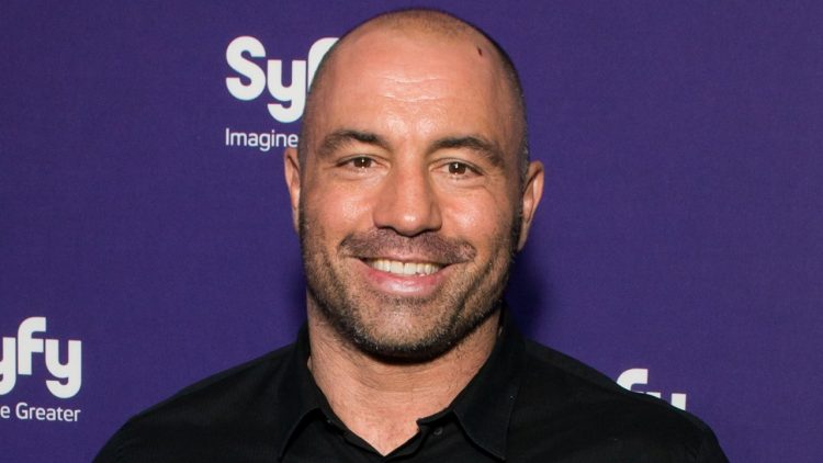 Detailed Joe Rogan Net Worth