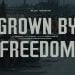 The Grown By Freedom Movie Dedicated To The War In Ukraine Will Be Premiered In Berlin 12 Grown by Freedom movie