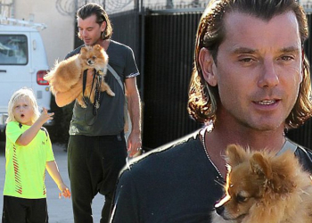 Gavin Rossdale in Sorrow Over Loss of Cherished Dog Chewy